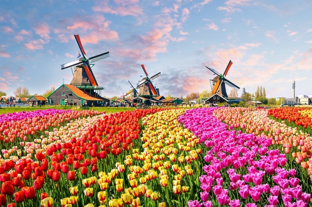 Dịch vụ làm visa Hà Lan